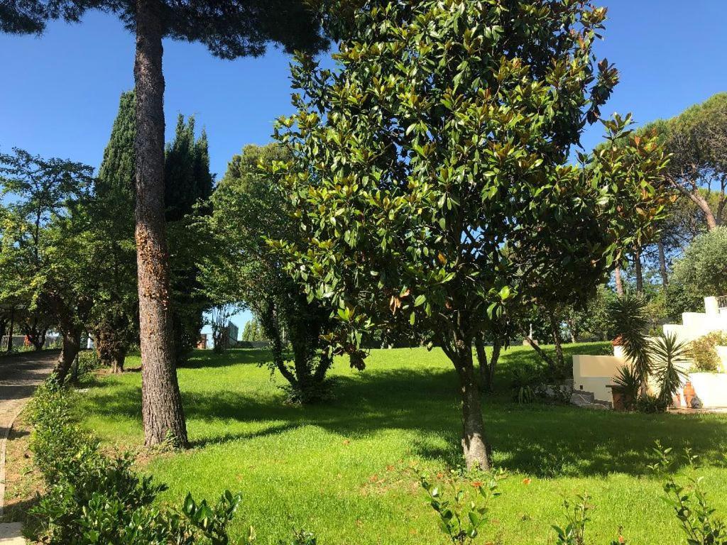 Residenza Verdemare Мисано Адриатико Екстериор снимка